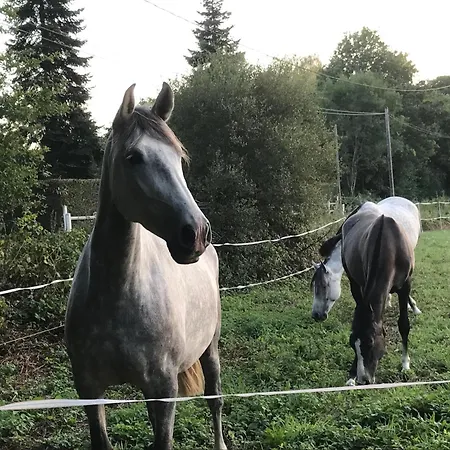 Du Pre Rond * Laigne-en-Belin