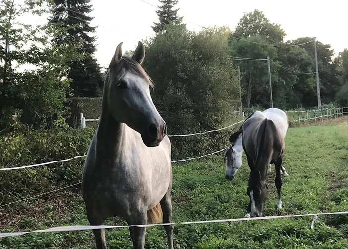 Du Pre Rond * Laigne-en-Belin